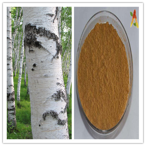 Natural Birch Bark Extract with Betulinic Acid or Betulin