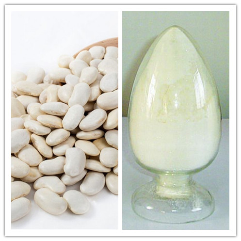 Natural CAS 85085229 White Kidney Bean Extract 15 Phaseolin