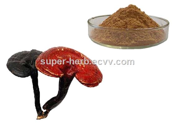 Reishi Mushroom Extract spore powder Ganoderma lucidum 81907622