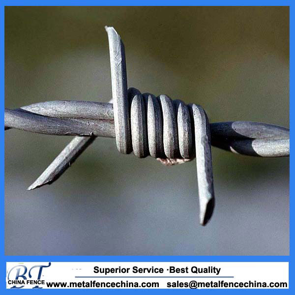 concertina razor wireconcertina wirerazor barbed wire