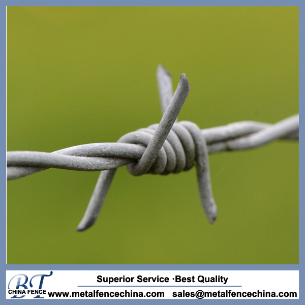 professional manufacture barbed wire for protection