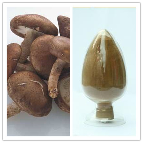 Natural Polysaccharide Lentinan Shiitake Mushroom Extract