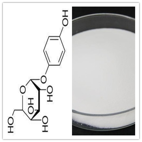 High Purity 98 Deoxyarbutin CAS No 53936564