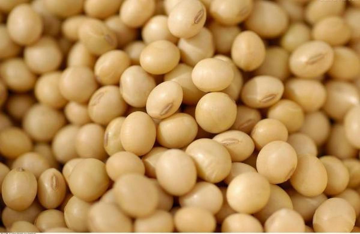 High quality soybean isoflavones extract power women health natural water soluble soy isoflavone 40