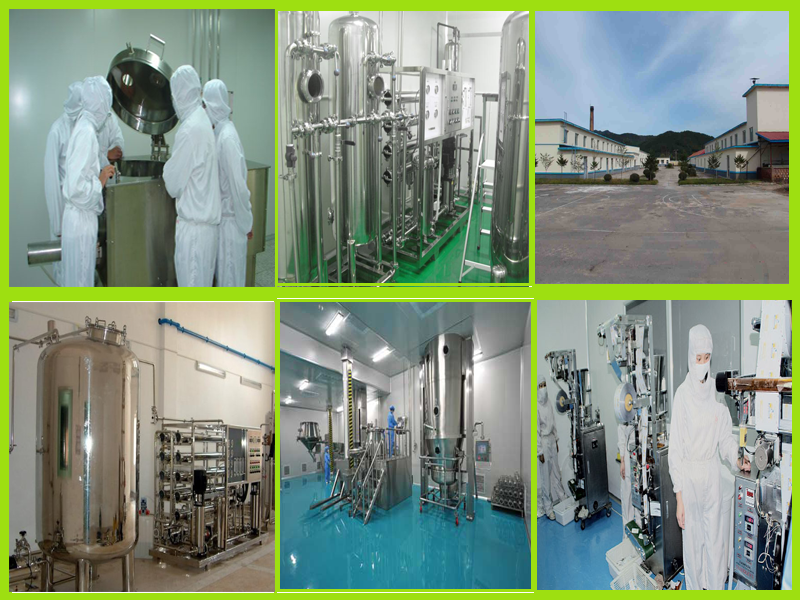 Manufacturer supply high quality food grade chitosan DAC 8095 for additives and nutrition supplement