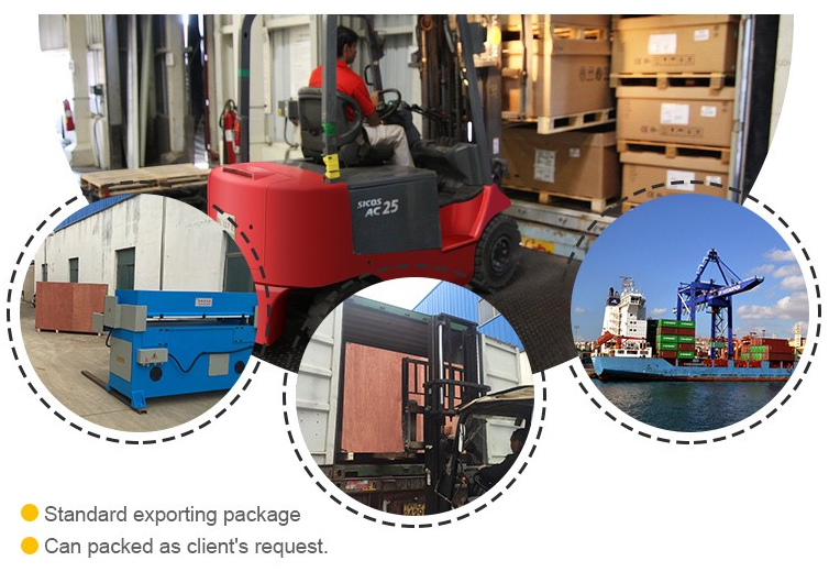 Automatic moving head type sheet and roll material cutting machine