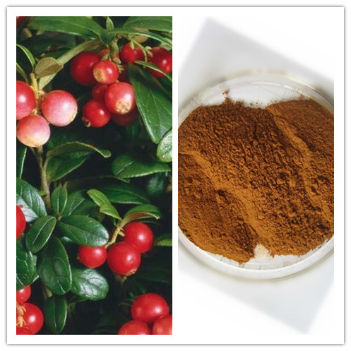 Natural Rose Hips Extract with 5 Vitamin C 10 Polyphenols