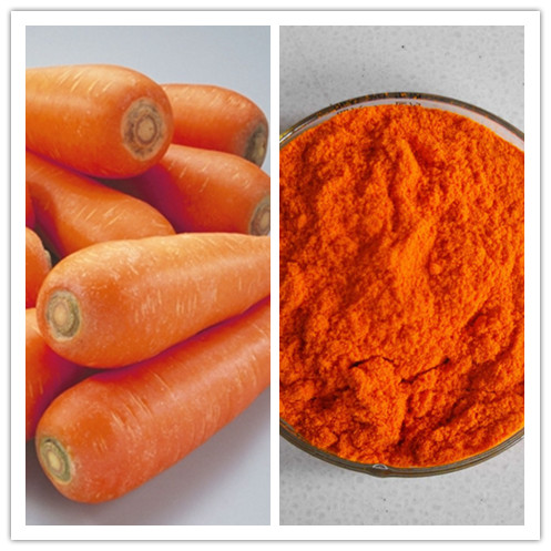 Pure Natural Daucus Carrot Extract Beta Carotene