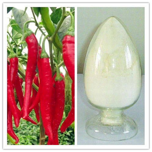 Natural 95 Capsaicin from Cayenne Capsicum Paprika Extract