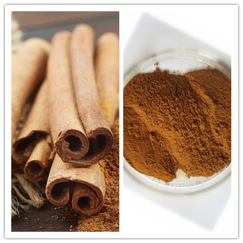 Natural Cinnamon Bark Extract with Polyphenols 10 20 25