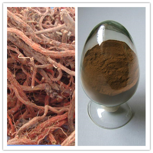 Natural Salvia Miltiorrhiza Salvia Root Extract 8 Salvianolic Acid B