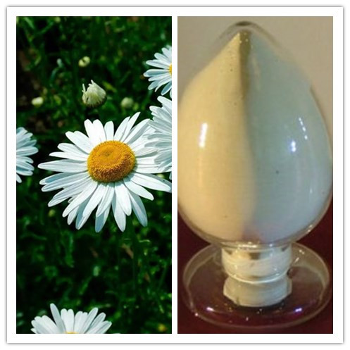 natural Pyrethrum Extract with 25 50 Pyrethrins