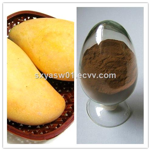 natural 101 201 African Mango Seed Extract