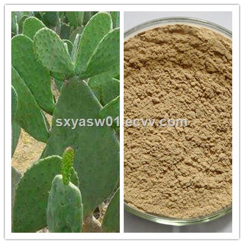 natural 101 201 Cactus Extract