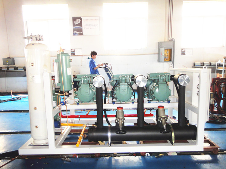 Bitzer Parallel Screw Compressor Unit