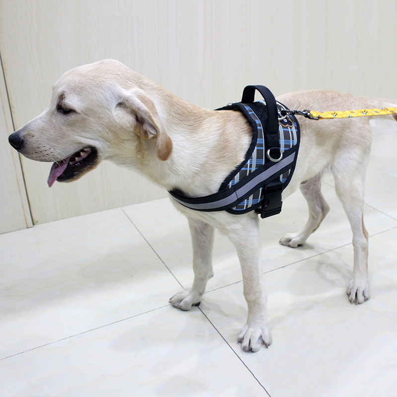 Factory Custom Comfortable Massage Pet Harness With Leash