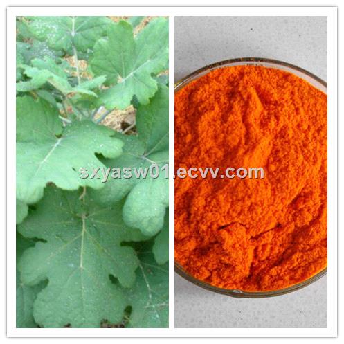 Natural Macleaya Cordata Extract 1080 Sanguinarine CAS No 2447543