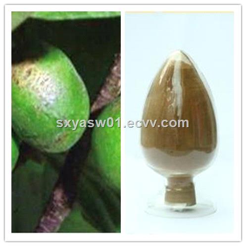 Natural Pygeum Africanum Extract 13 Phytosterols