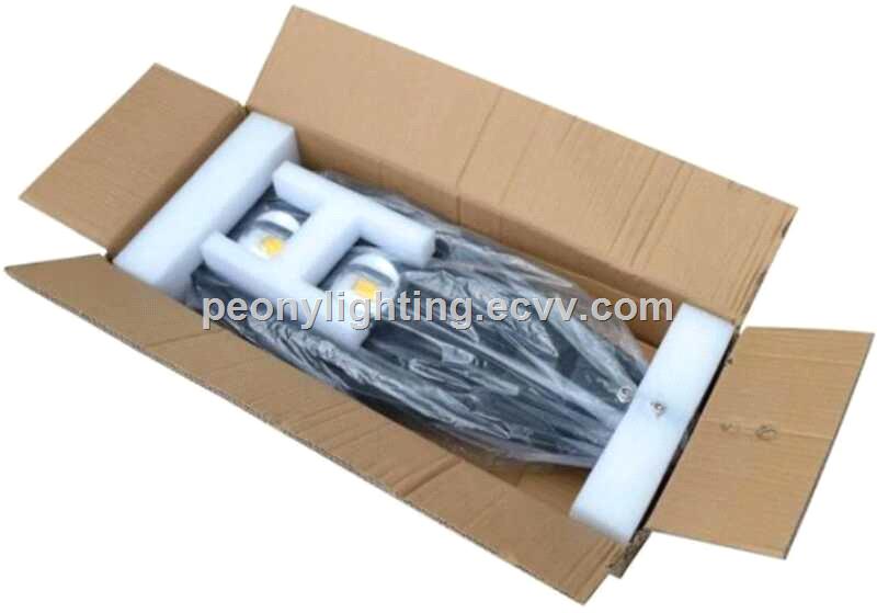 NEW hot sell COB LED street light with good price