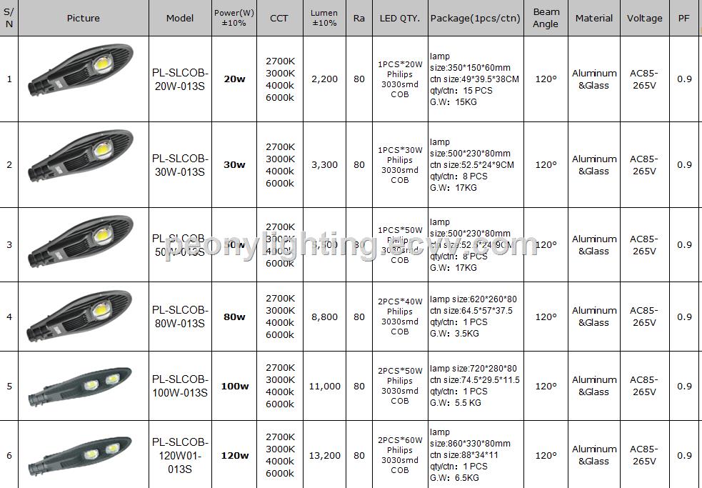 NEW hot sell COB LED street light with good price