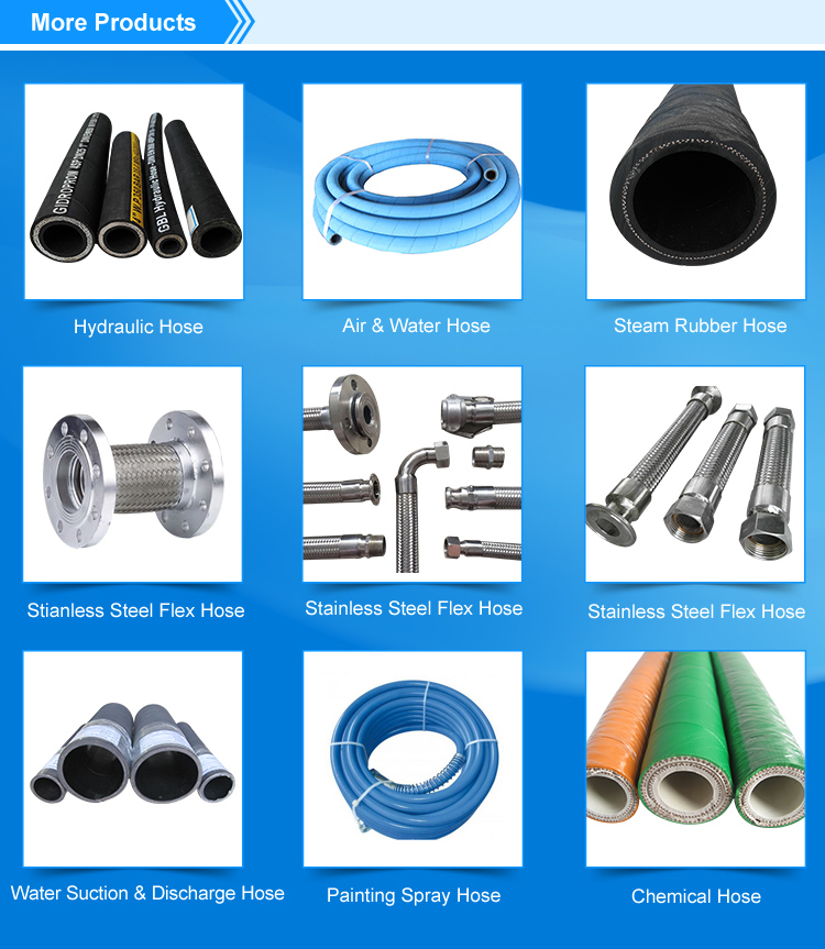 Stainless Steel Flexible Hose with Flange fitting Flange connection pump using flexible stainless steel hose
