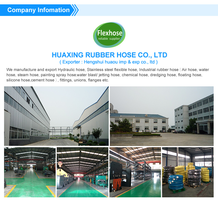 Stainless Steel Flexible Hose with Flange fitting Flange connection pump using flexible stainless steel hose