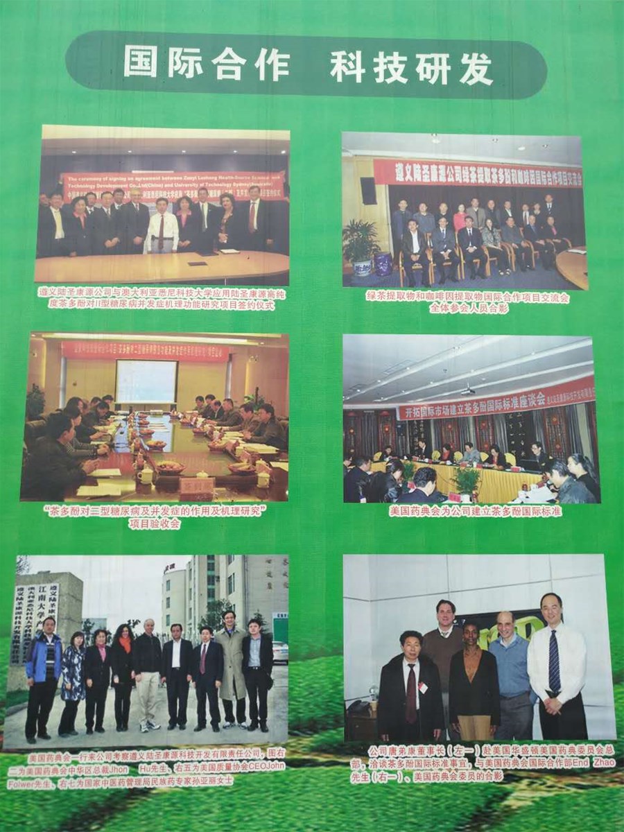 International standard instant tea polyphenols drinks factory supply