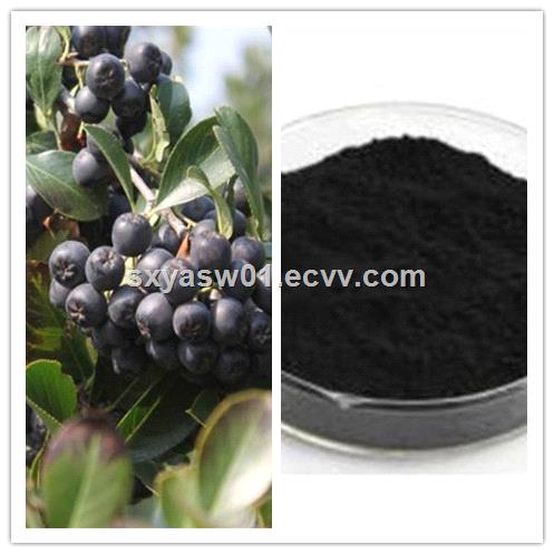 Natural Chokeberry Extract with Anthocyanins