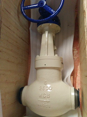 Pressure Seal Bonnet Globe Valve 4 Inch CF8C
