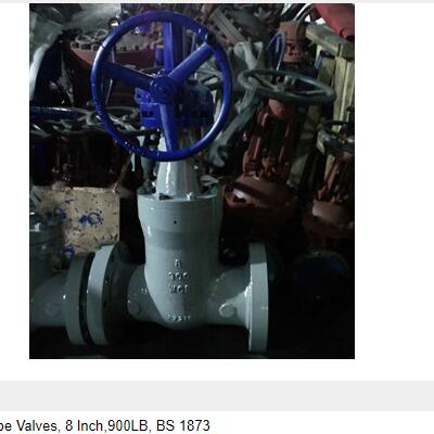 WCB Flanged Globe Valves 8 Inch900LB BS 1873