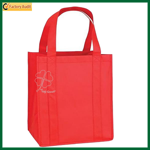 Promotional Cheap EcoFriendly Non Woven Bag TPSP315