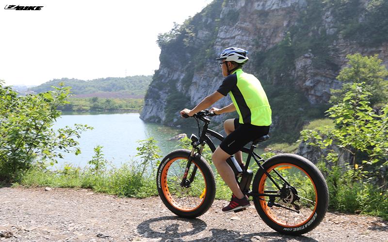 China electric bicycle Electric Bike TDE07