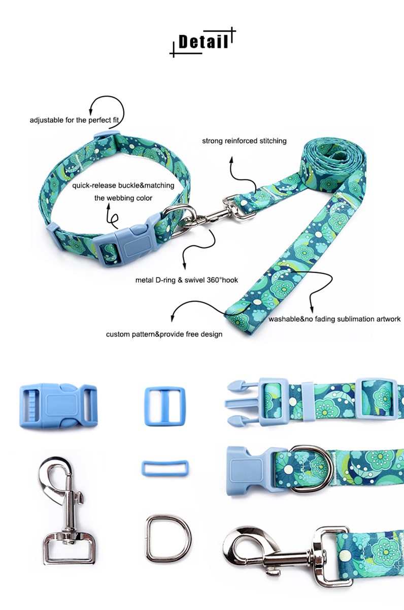 Custom dog collars with breakaway buckle