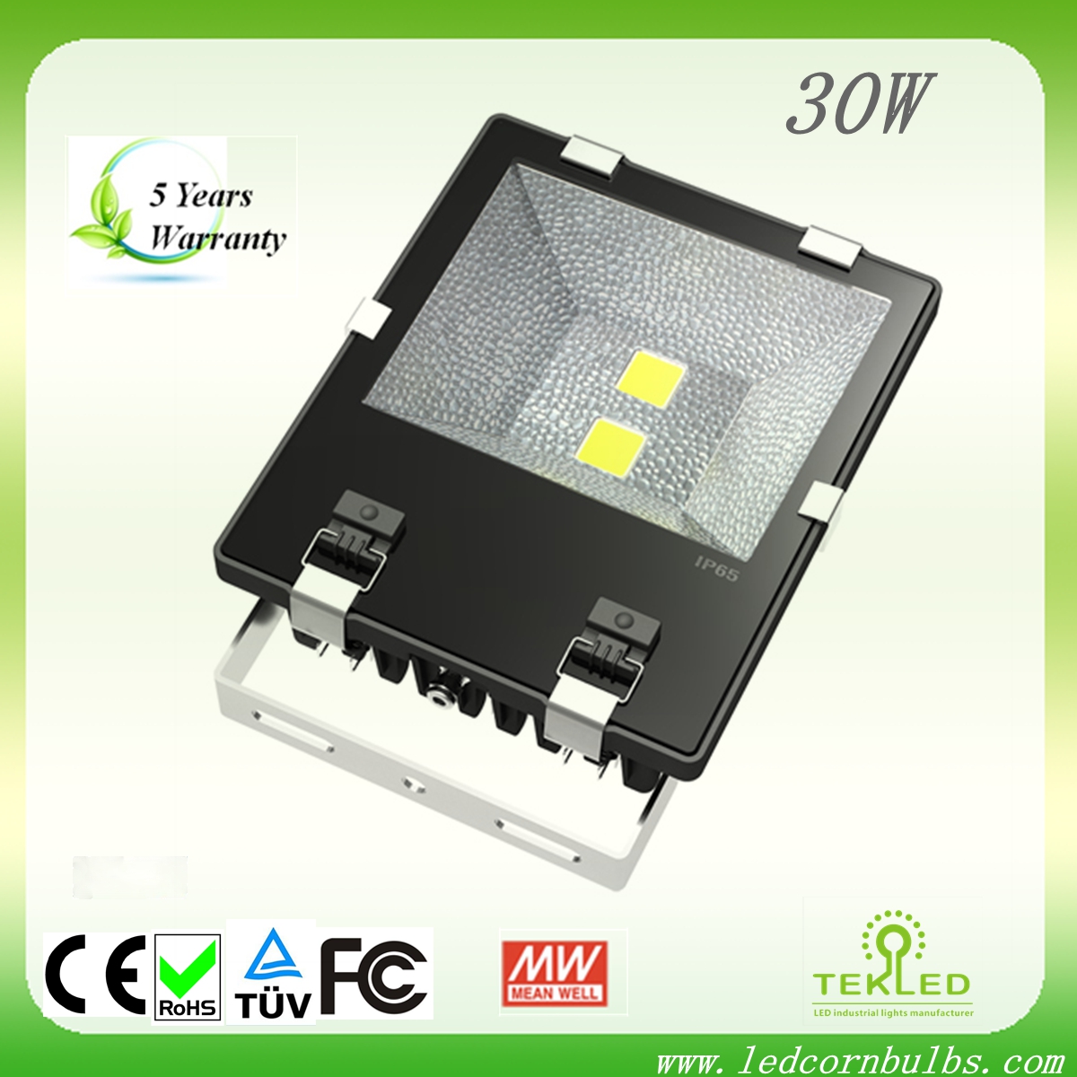 Tek IP65 30W Outdoor LED Flood Light for Stadium Tennis Court Lighting
