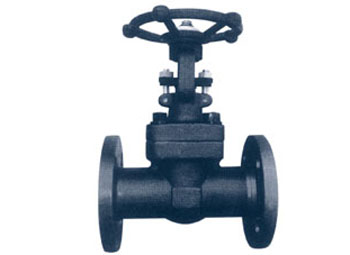 Grade Forging Steel Gate Valve