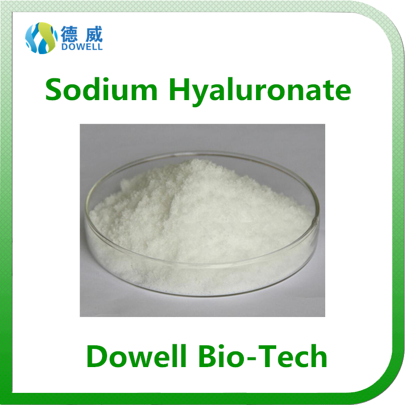 Hot selling FoodCosmetic Grade Sodium Hyaluronate powder