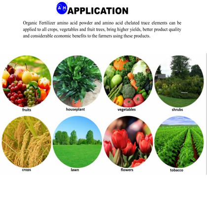 Plant Source Amino Acid Chelate Ca