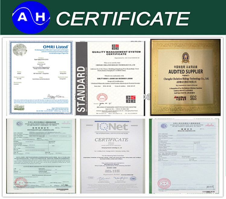 Plant Source Amino Acid Chelate Iron