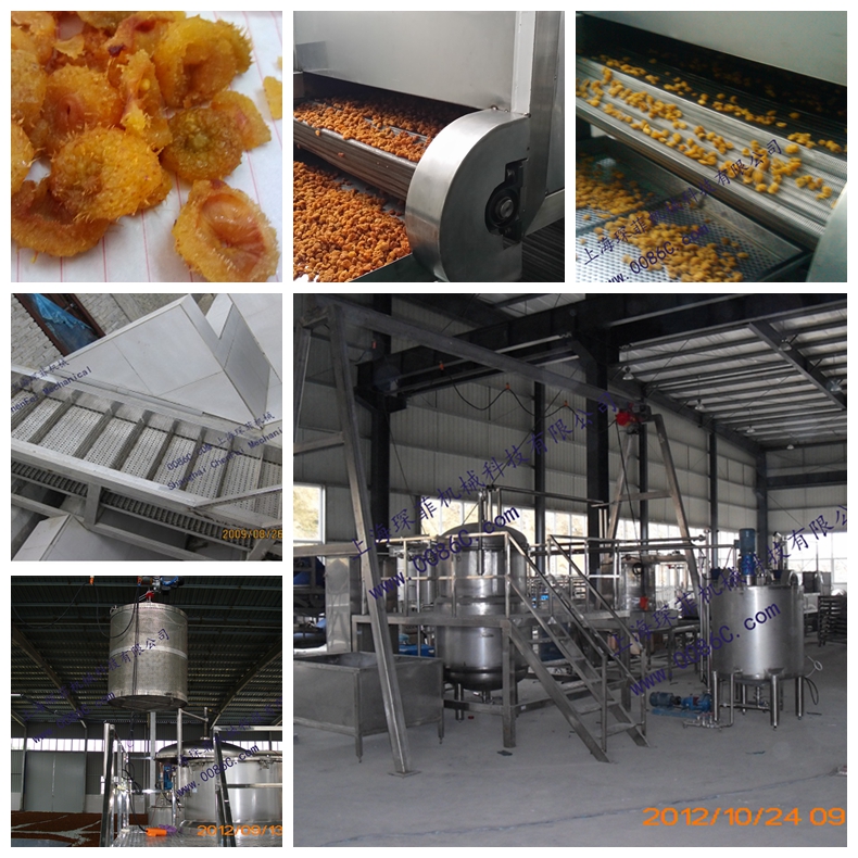 Preserved and dried fruit processing line