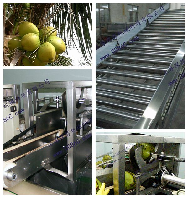 automatic coconut juice processing line