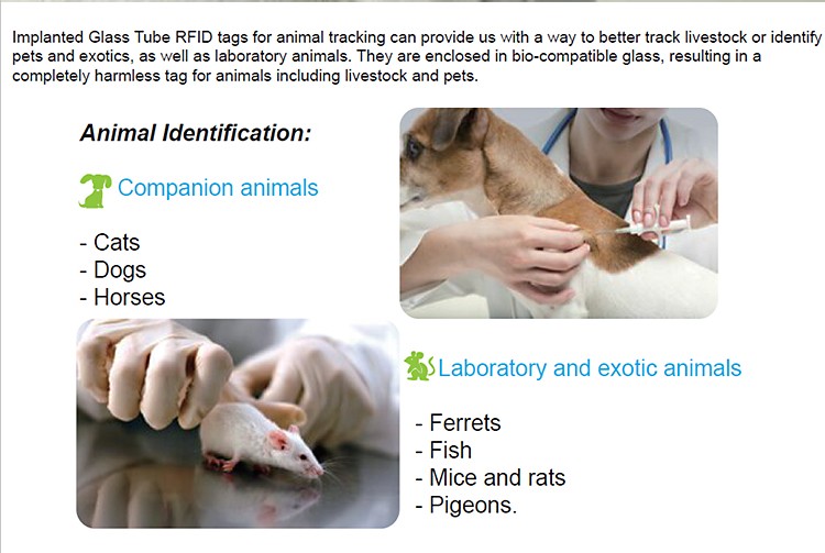 iso 1178411785 FDXAFDXBHDX EM43054102HITAGS256 125KHz 1342KHz rfid glass tag with syringe for animals