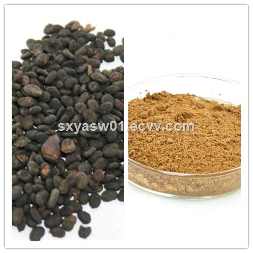 Natural 101 Malaytea Scurfpea Fruit Extract