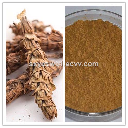 Natural 10 1 201 Spica Prunellae Extract