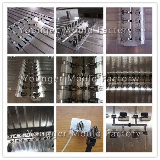 Nylon Seal tyre Cable Ties injection Molds for Automotive Auto Car