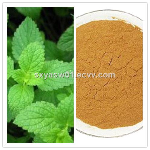 Natural 101 201 Peppermint Mint Extract