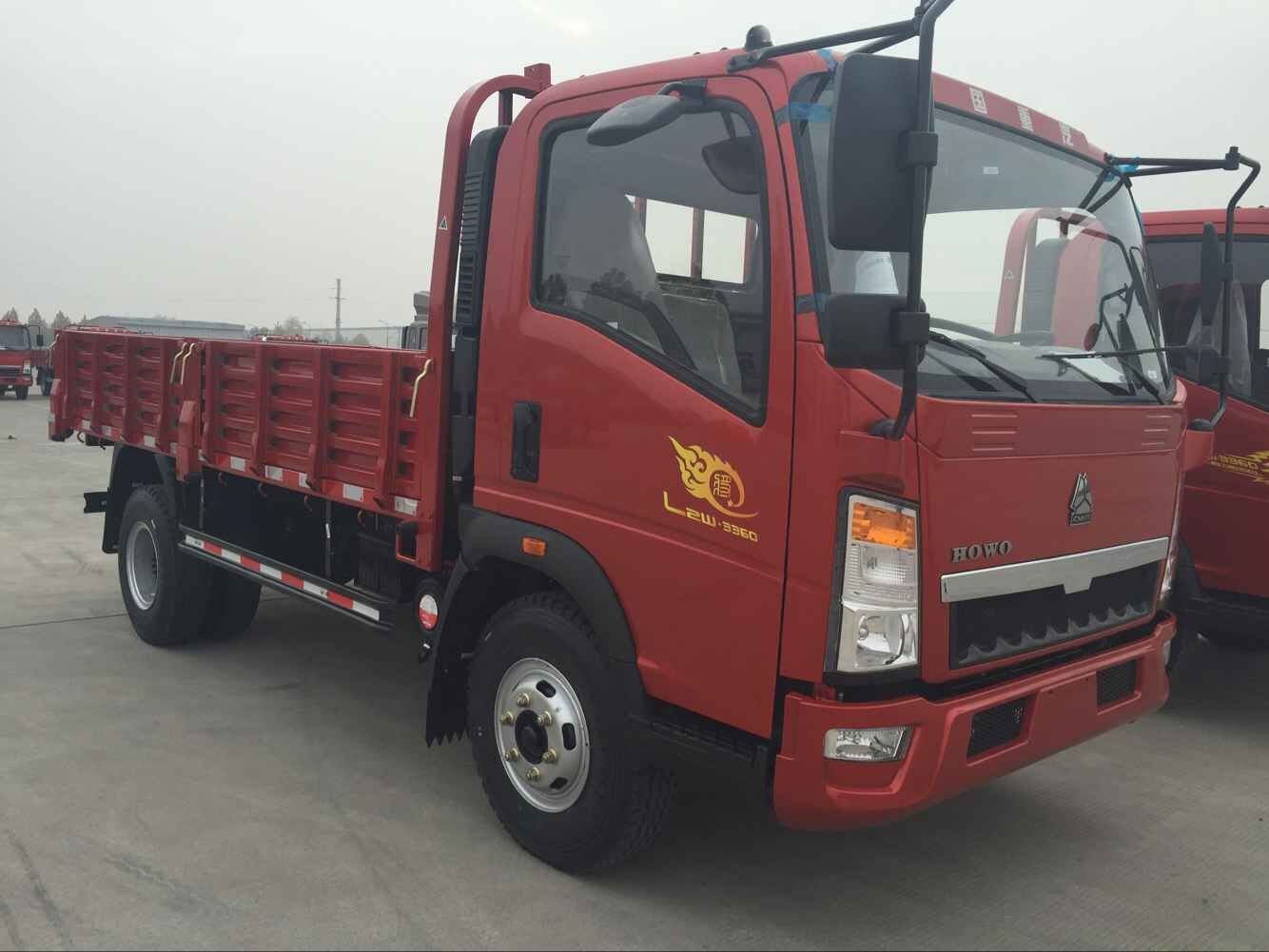 HOWO 4X2 Light Cargo Truck 36t RHD and LHD