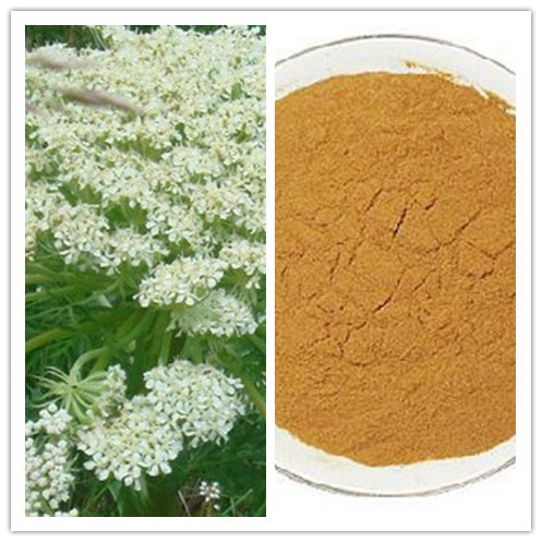 Natural Oxypeucedanin CAS No 482451