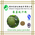 Factory supply Graviola fruit powder Graviola Extract 101 TLC