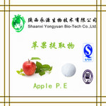 Hot selling Fruit Juice Powder Apple Dietary Fiber Apple Powder