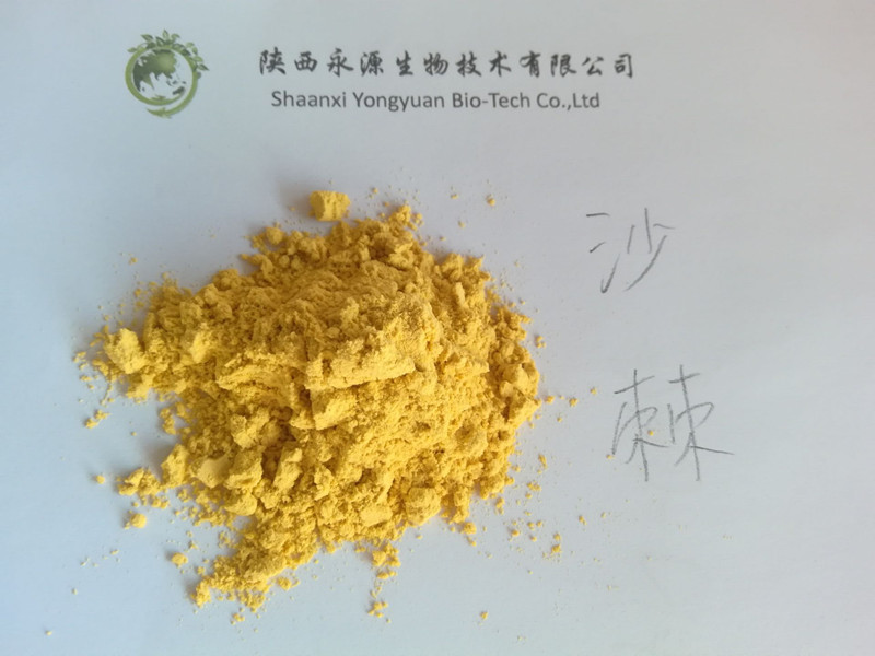 Natural Hippophae rhamnoides Linn ingrdient Sea buckthorn powder